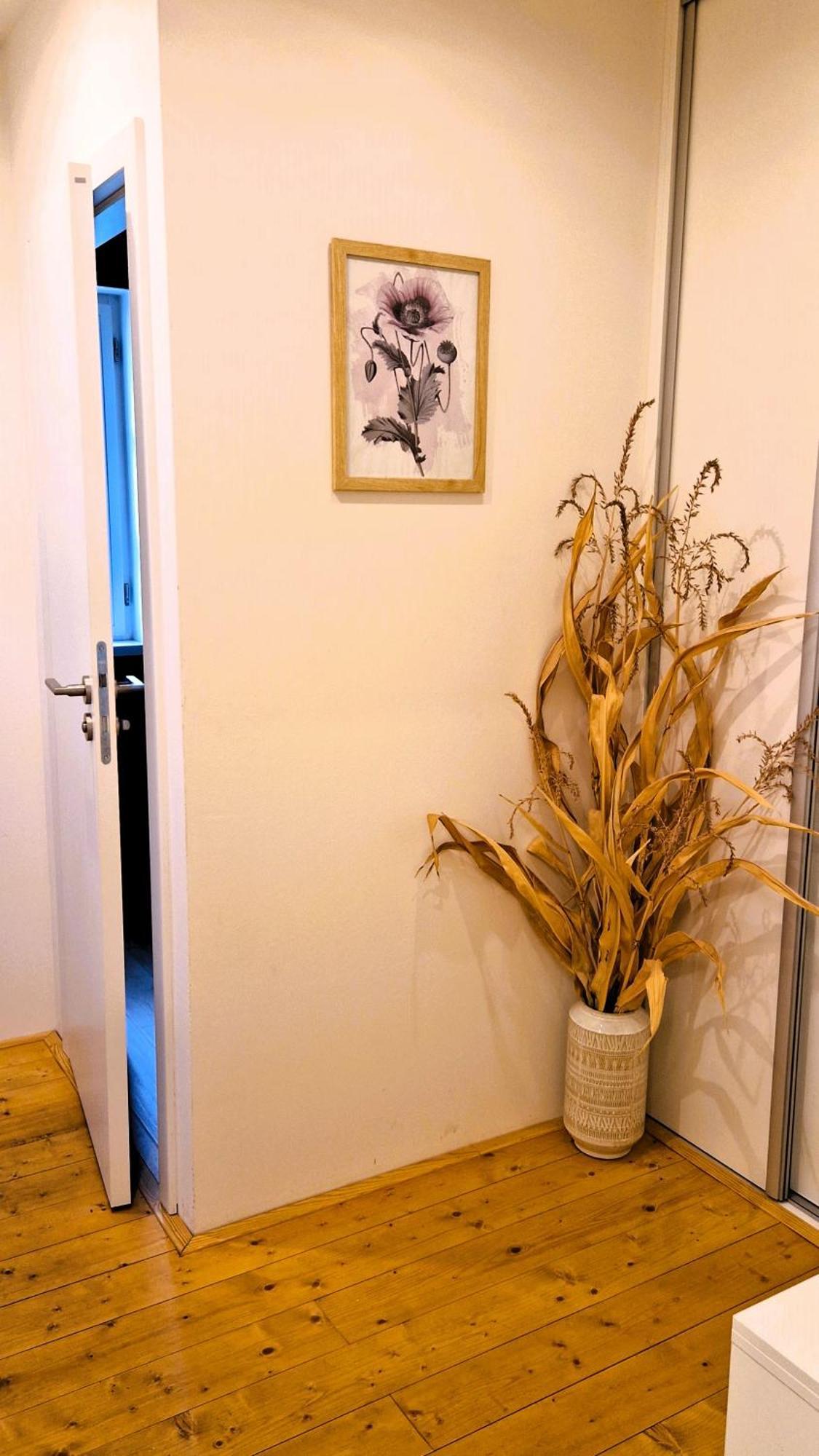 Apartmany Vcelin Brniste 外观 照片