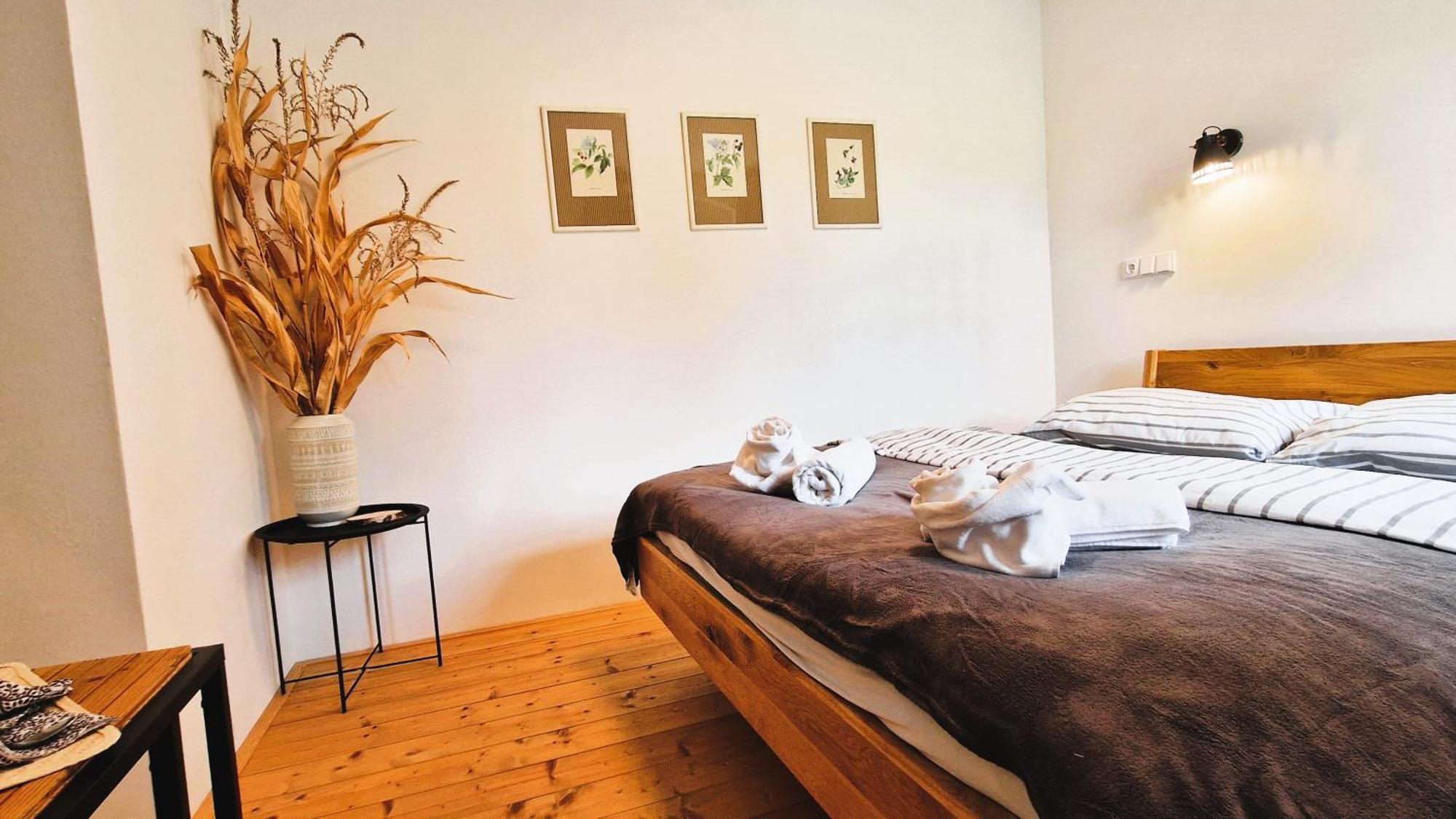 Apartmany Vcelin Brniste 外观 照片