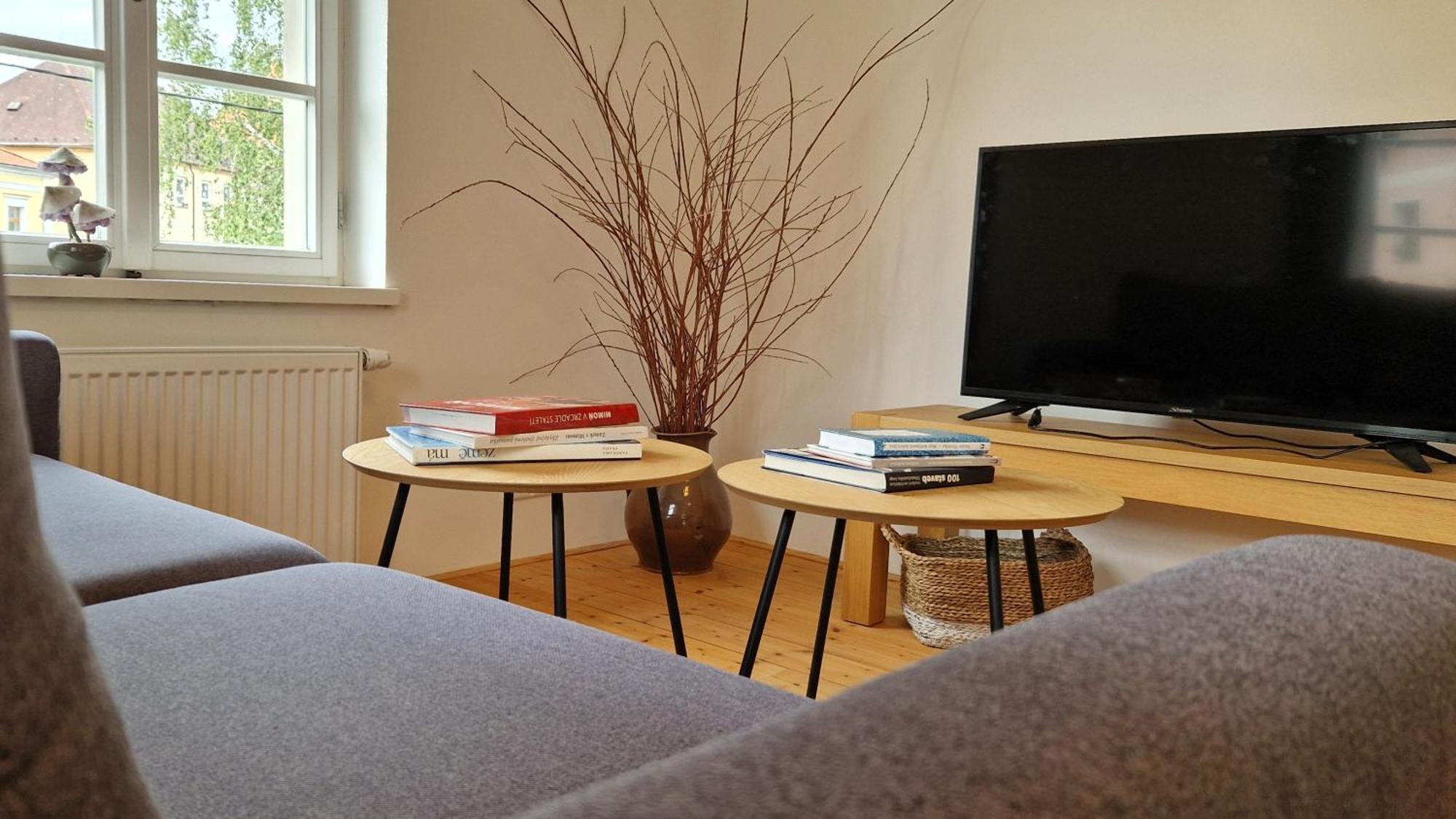 Apartmany Vcelin Brniste 外观 照片